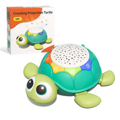 Crawling-Projection-Turtle