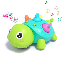 Crawling-Omnidirectional-Turtle