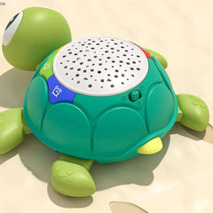Crawling-Projection-Turtle