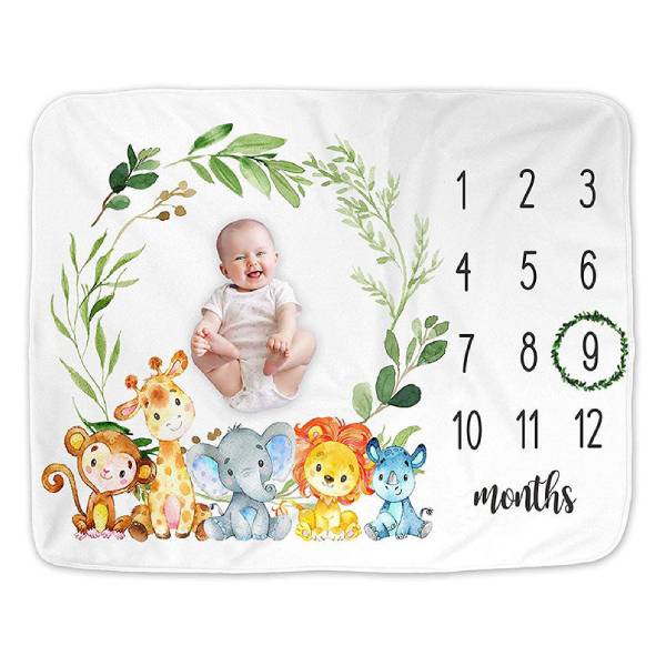 Baby-Milestone-Month-Digital-Photo-Blanket