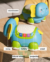 Musical-projectioncrawling-elephant