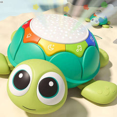 Crawling-Projection-Turtle