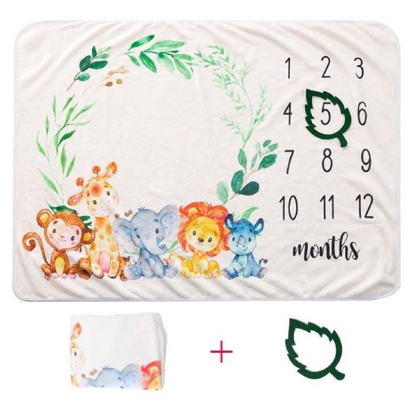 Baby-Milestone-Month-Digital-Photo-Blanket
