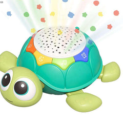 Crawling-Projection-Turtle
