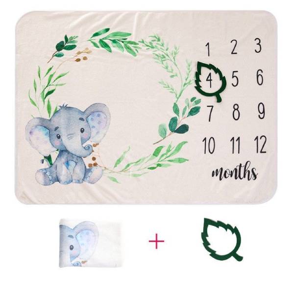 Baby-Milestone-Month-Digital-Photo-Blanket